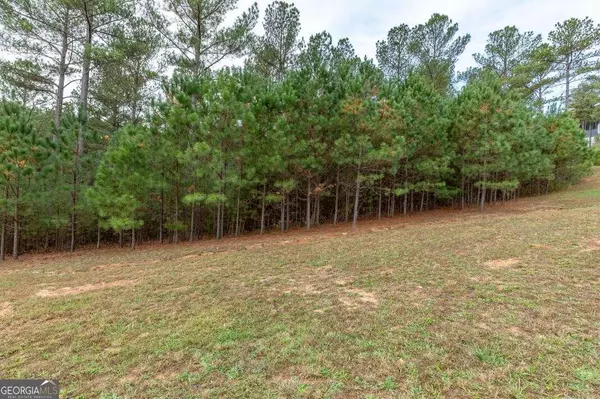 Blairsville, GA 30512,LOT 120 The Stables In 1300