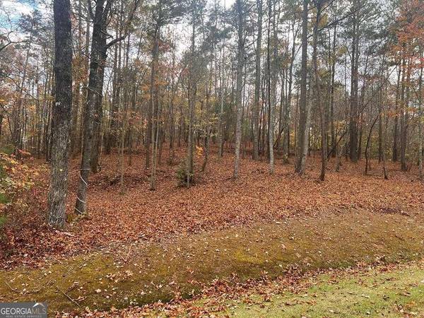 0 Doll Mountain RD #43, Ellijay, GA 30540