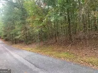 Blairsville, GA 30512,LOT 4 Cane Creek RDG