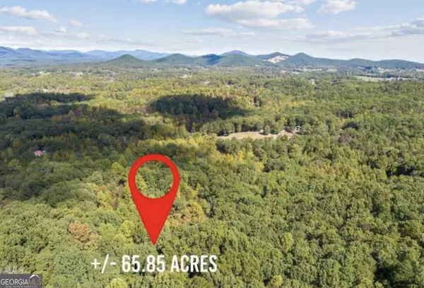 Cleveland, GA 30528,LOT 24 Luther Palmer RD