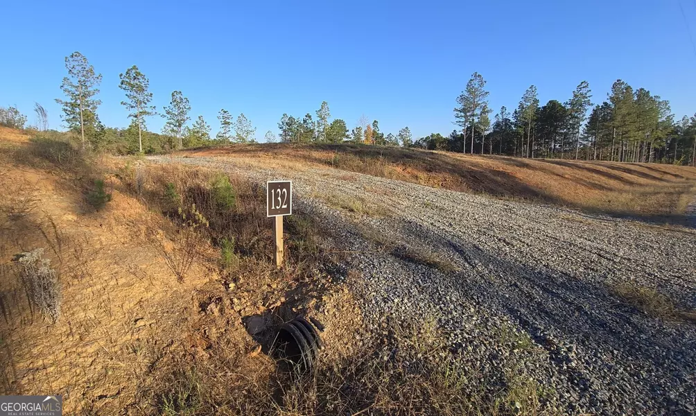 LOT 132 River Reach LN, Talking Rock, GA 30175