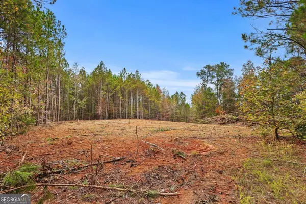 Elberton, GA 30635,LOT 6 Mill ST