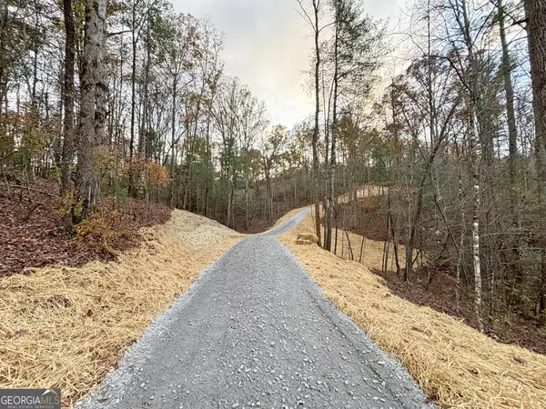 Ellijay, GA 30540,LOT 4 Mt Springer RD