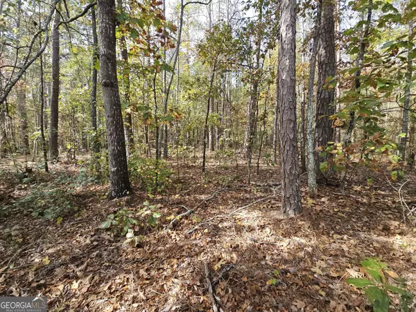 Newnan, GA 30263,0 Pierce Chapel RD #LOT 9