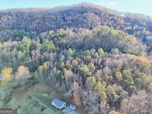 Rabun Gap, GA 30568,0 Shake Hollow #LOT 215