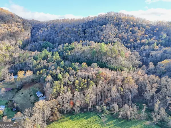 Rabun Gap, GA 30568,0 Shake Hollow #LOT 215