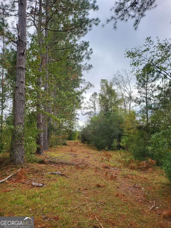 Brooklet, GA 30415,151 Cash RD