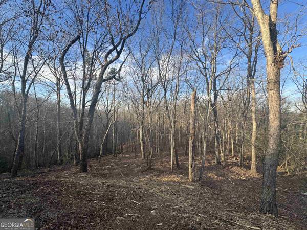 LOT 57 Teel Mtn DR, Cleveland, GA 30528