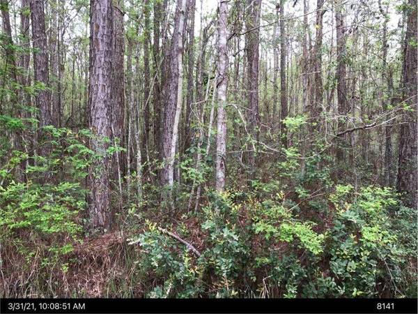 Townsend, GA 31331,LOT 35 Lewis LN