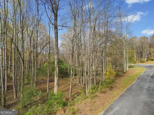 Ellijay, GA 30536,LOT 14 Highpoint Ridge CT