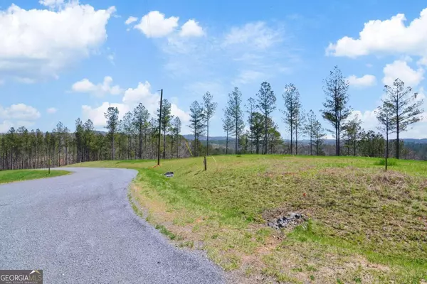 Talking Rock, GA 30175,LOT 195 Blalock Mountain Rd