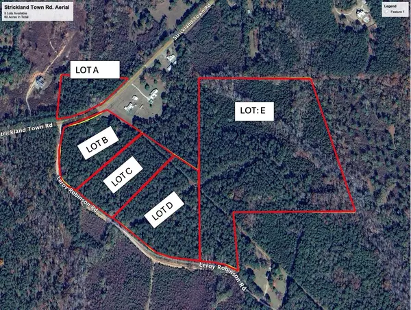 Luthersville, GA 30251,0 Strickland Town RD #LOT A