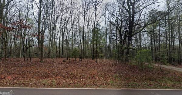 LOT 3 Snead, Fayetteville, GA 30215