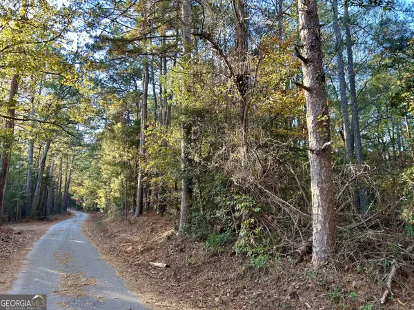 Elberton, GA 30635,00 Deep Hollow TRL