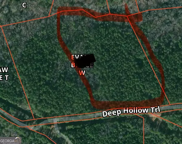 Elberton, GA 30635,00 Deep Hollow TRL