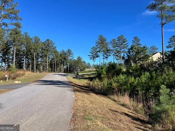 Blairsville, GA 30512,LOT 313 The Cove at 1300