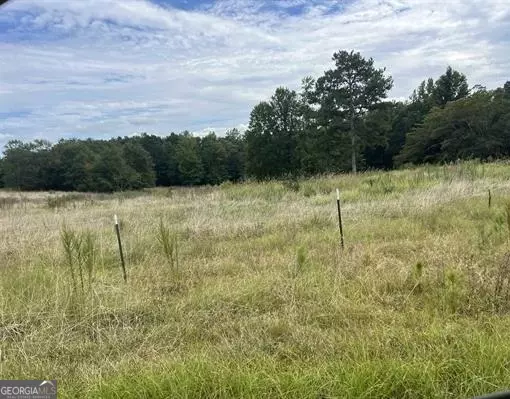 Roanoke, AL 36274,14 +/- ACRES County Road 65