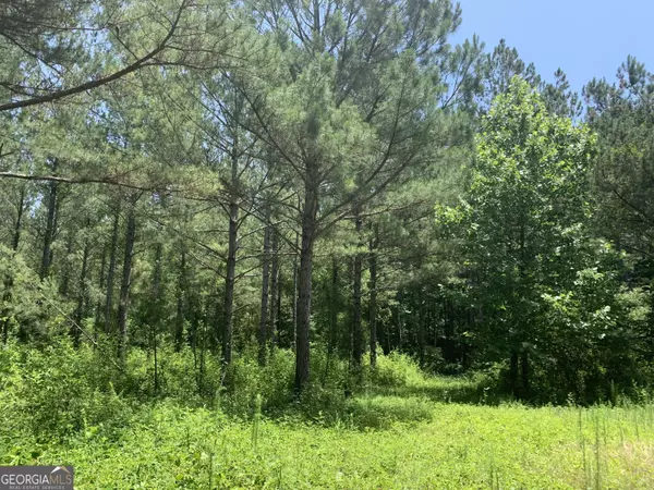 Franklin, GA 30217,130.77+/- AC Straylott RD