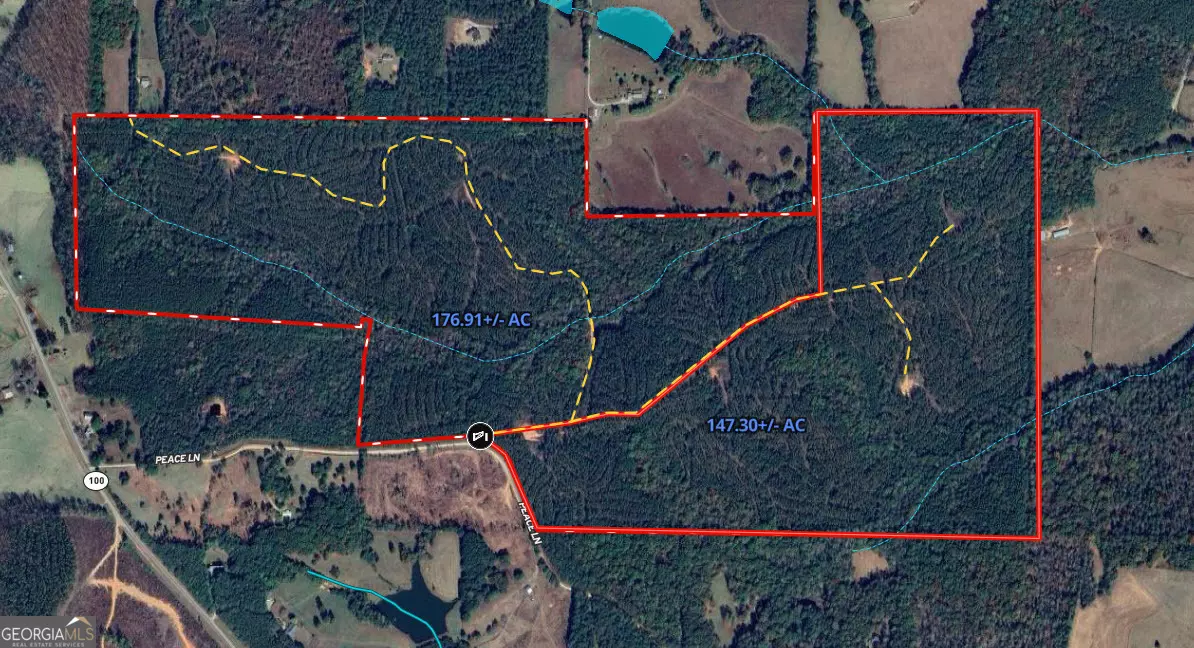 Franklin, GA 30217,176.91+/- AC Peace LN