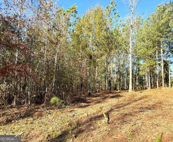 LOT 34 Russell Ridge Court, Elberton, GA 30635