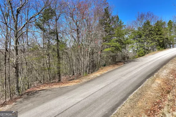 Clarkesville, GA 30523,335 Highland DR #LOT 19