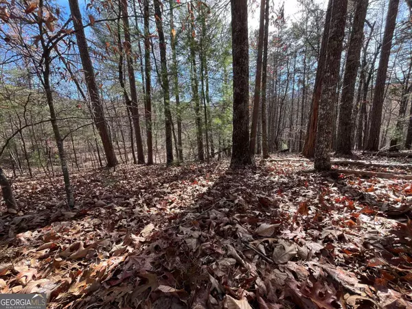 Morganton, GA 30560,LOT 69 Tipton Springs RD