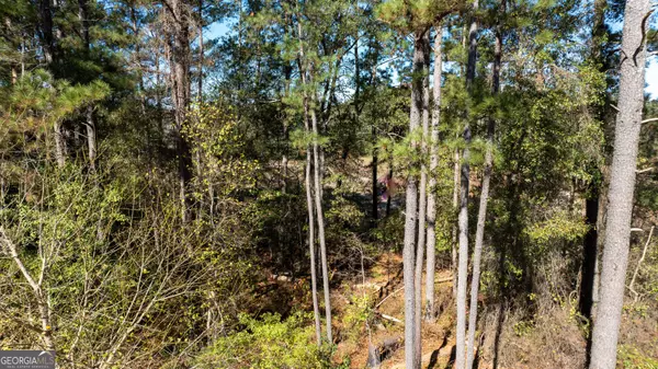 Newnan, GA 30263,80 Stapler RD #1.3+/- ACRE