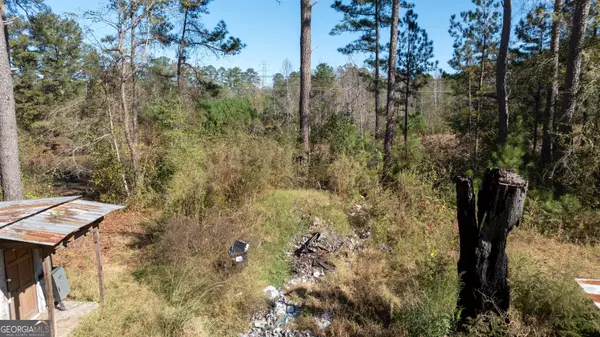 Newnan, GA 30263,80 Stapler RD #1.3+/- ACRE