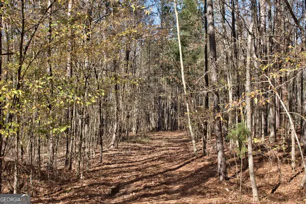 Greensboro, GA 30642,10AC Cunningham RD