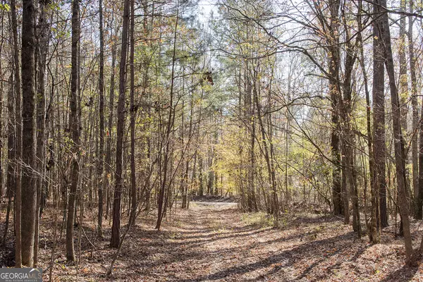 Greensboro, GA 30642,10AC Cunningham RD