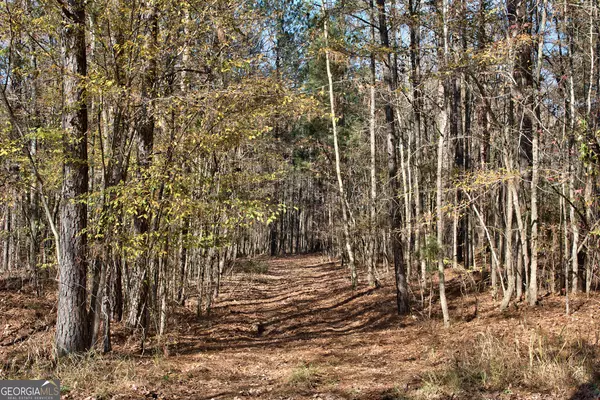 Greensboro, GA 30642,10AC Cunningham RD