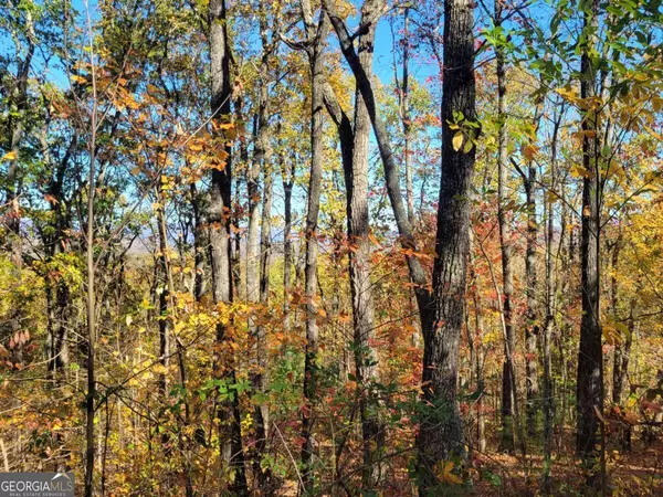 Ellijay, GA 30540,8 AC Old Burnt MTN