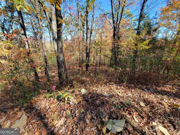 Ellijay, GA 30540,8 AC Old Burnt MTN