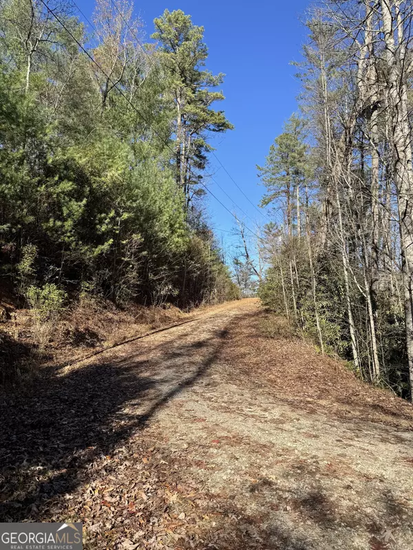 Lakemont, GA 30552,LOT 37 Spring Cove TRL