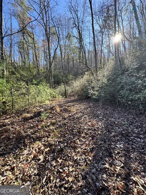 Lakemont, GA 30552,LOT 37 Spring Cove TRL