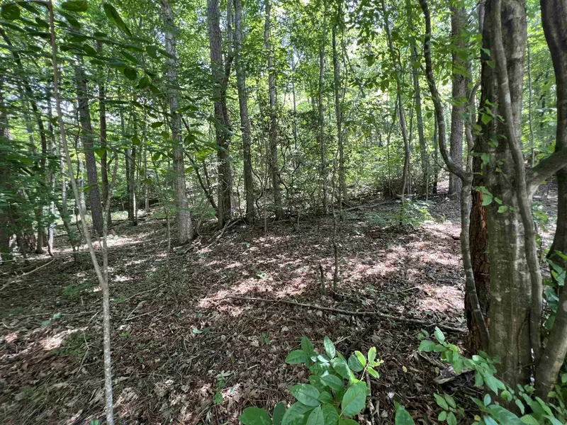 LOT 3 Sautee Ridge RD, Clarkesville, GA 30523