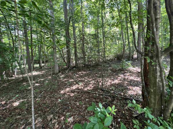 LOT 3 Sautee Ridge RD, Clarkesville, GA 30523