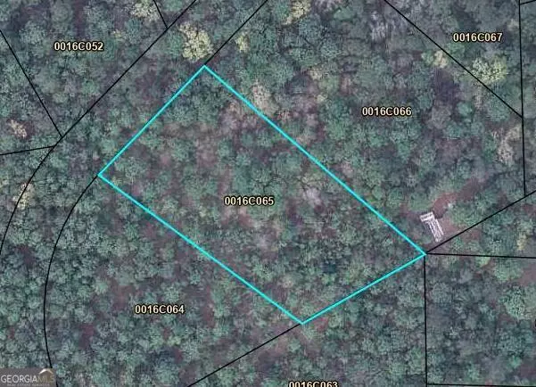 Bainbridge, GA 39819,LOT 58 Lakewood Estate