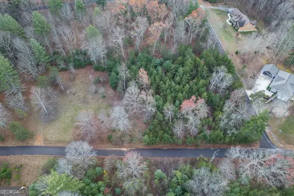 Blairsville, GA 30512,LOT 7 B & W Ranch Rd Lot 7