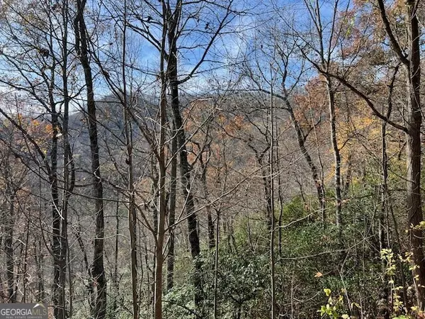 Hiawassee, GA 30546,LOT 19 The Highlands at Hightower Ridge