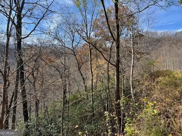 Hiawassee, GA 30546,LOT 19 The Highlands at Hightower Ridge