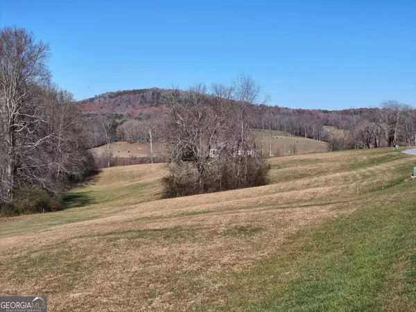 Blairsville, GA 30512,LOT 115 Owen Glen