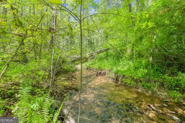 Dahlonega, GA 30533,000 TS Jarrard RD