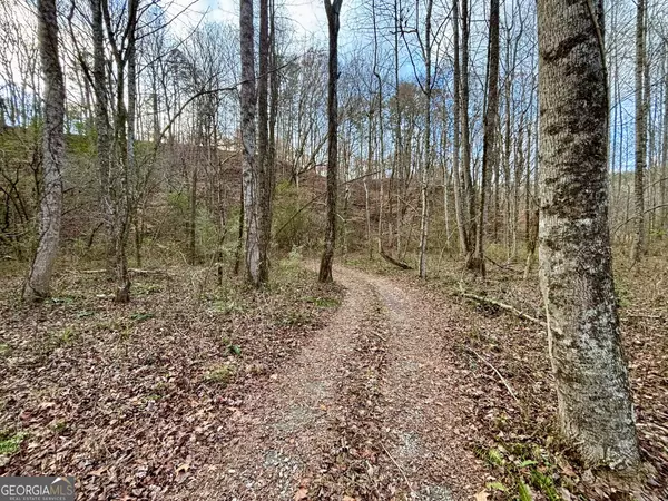 Cherry Log, GA 30522,367 AC River Escape TRL