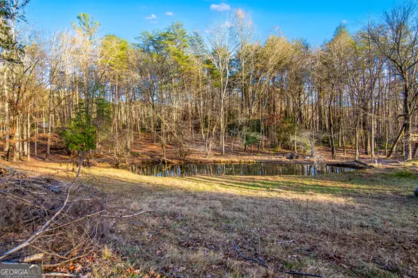 Ellijay, GA 30536,284 Tickanetley RD