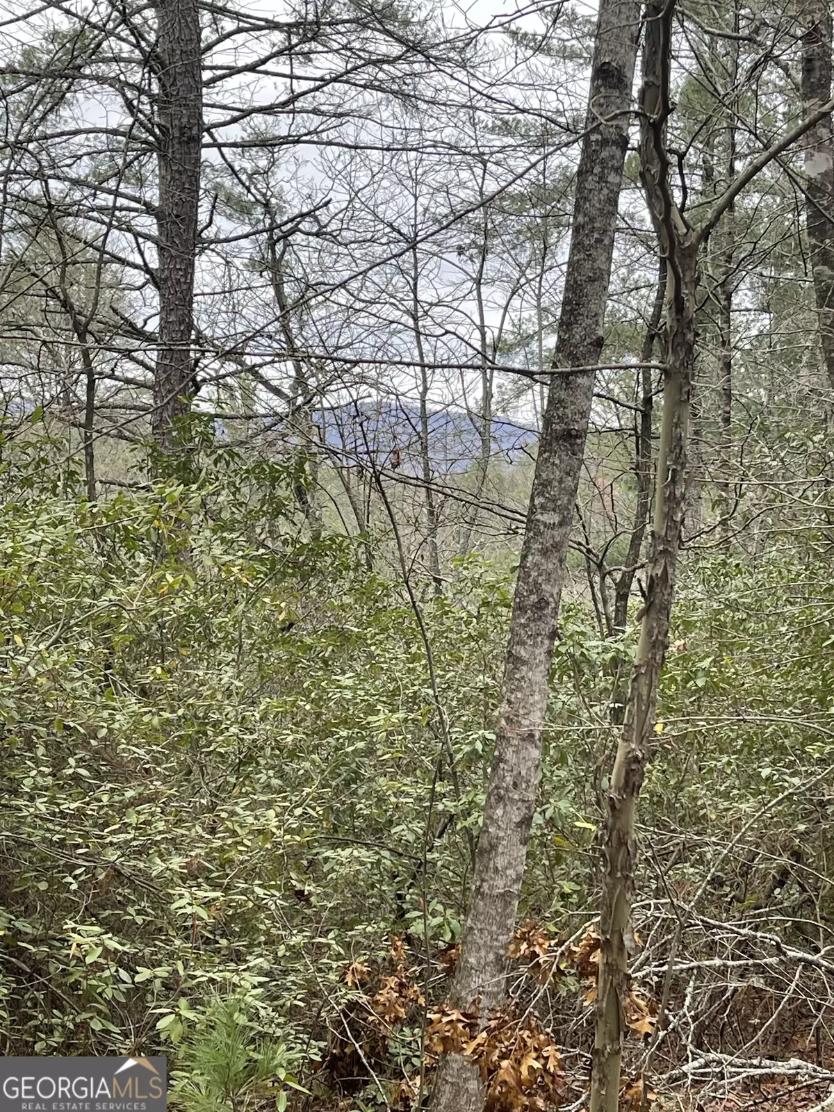 Tiger, GA 30576,00 Hidden Falls DR #LOT 6