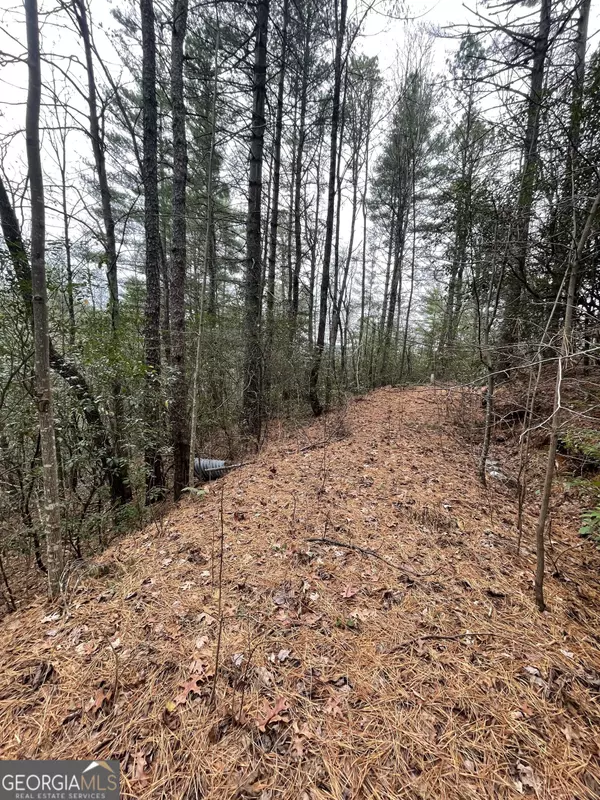 Tiger, GA 30576,00 Hidden Falls DR #LOT 6