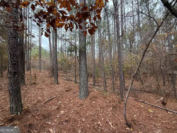 Greenville, GA 30222,0 Primrose RD #7.8+/- ACRES