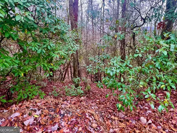 Cherrylog, GA 30522,18 Martin Crossing