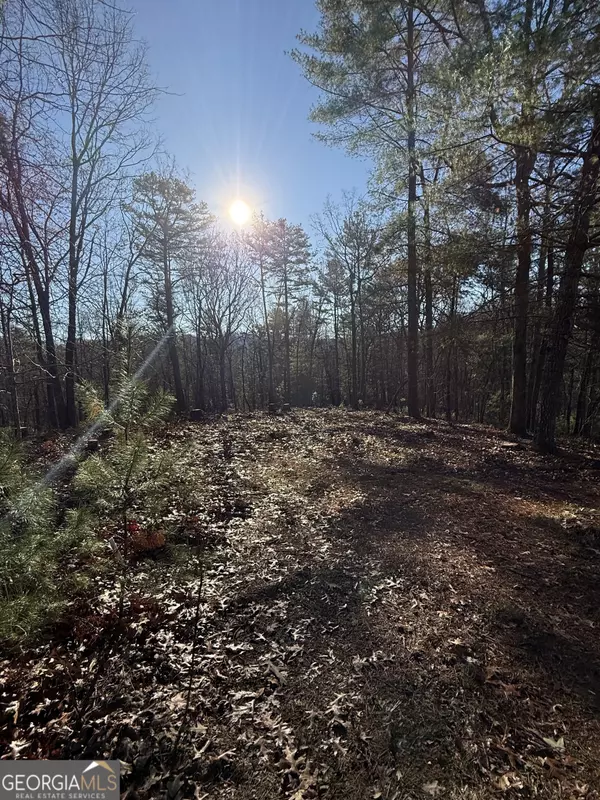 Mineral Bluff, GA 30559,LOT 32 Crabapple LN